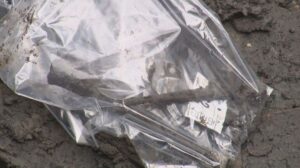 Botten gevonden in de Gouda binnenstad