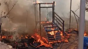 Dierenasiel afgebrand