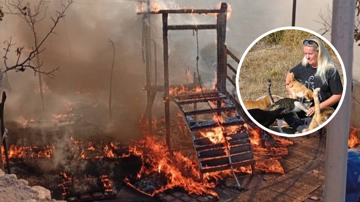 Dierenasiel afgebrand
