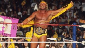 Hulk Hogan show