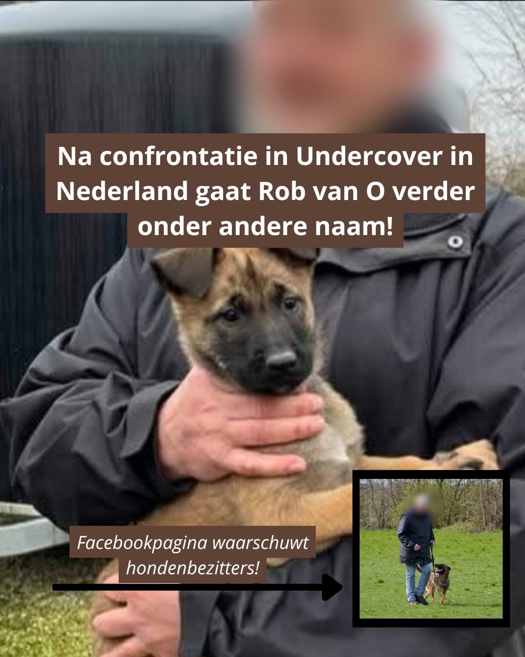 Confrontatie met Alberto Stegeman doet beruchte hondentrainer Rob van O. helemaal niets – “Hij gaat gewoon door!”