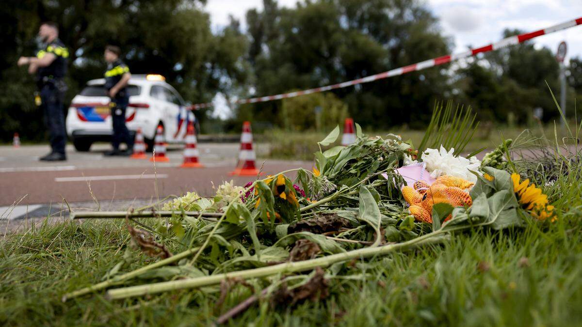 Politie deelt afkomst verdachte (22) van moord op Lisa