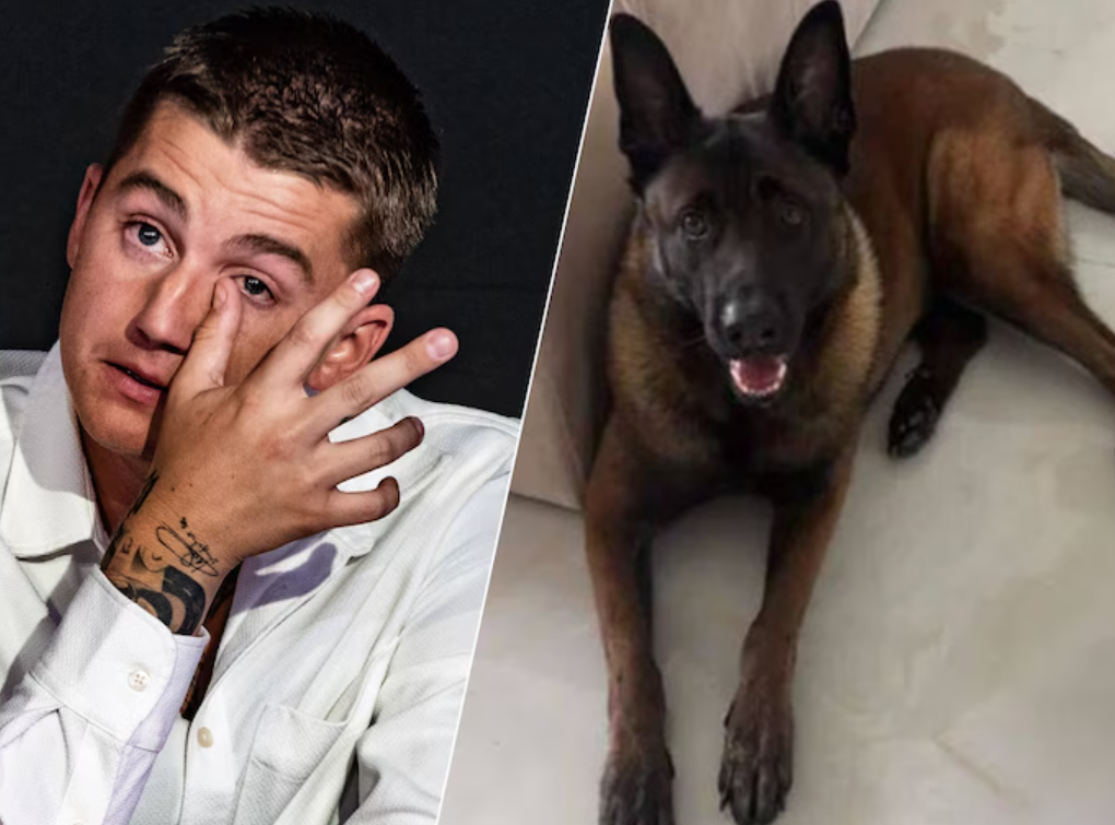 Zoektocht naar hond Mart Hoogkamer verstoord, beloning ingetrokken