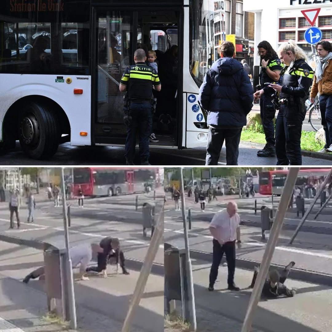 Buschauffeur is er klaar mee: zet lastige asielzoeker hardhandig de bus uit