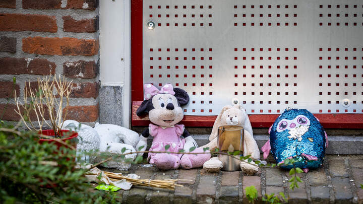 9-jarige jongen hield gruweldagboek bij bij Vlaardings pleeggezin: “opgesloten in hondenhok, bekogeld met sigaretten”