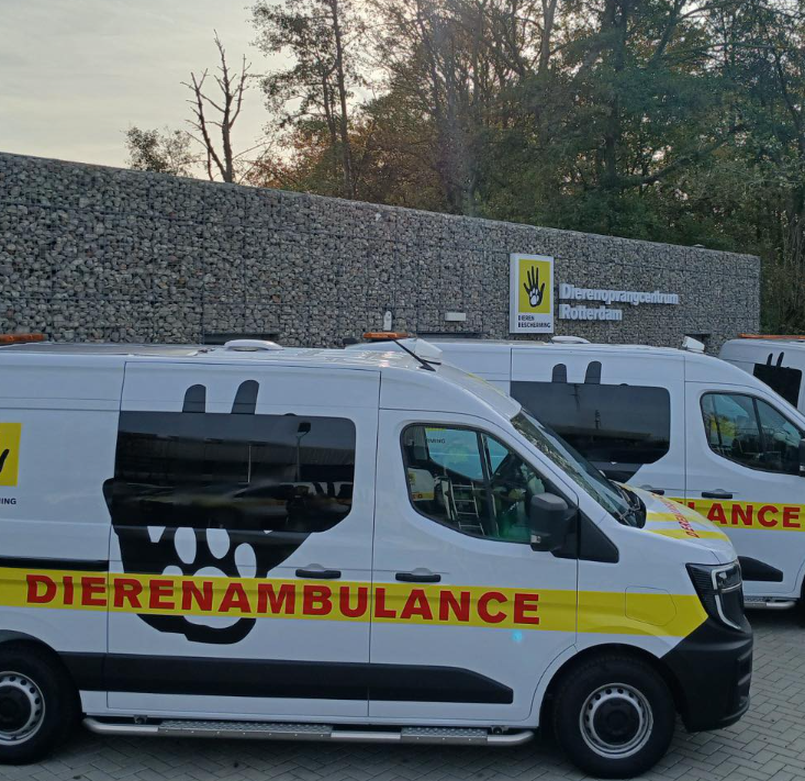 Drama bij fokkerij: verwaarloosde dieren, geweld tegen agent én twee arrestaties