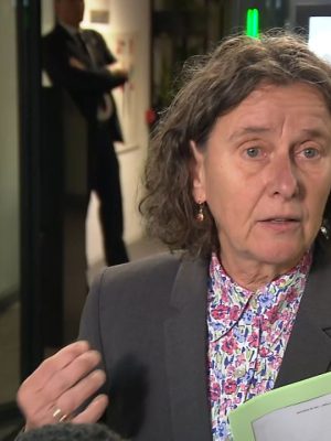 Faber wilde als asielminister opvangorganisatie COA opdoeken