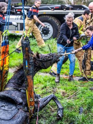 Brandweer redt paard uit sloot in Alblasserdam