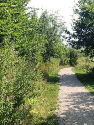 Bizar afpersingsdrama: slachtoffer moest naakt kuil graven na zakelijk conflict