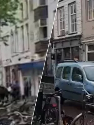 Man rijdt met bestelbus opzettelijk in op politiepaarden in Den Bosch, dieren gewond