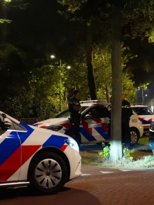 Vechtpartij tussen jongeren op kermis Rosmalen: twee aanhoudingen, kermis eerder gesloten