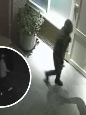 Foto’s en geboorteakte overleden zoontje gestolen bij inbraak: “We voelen ons machteloos”