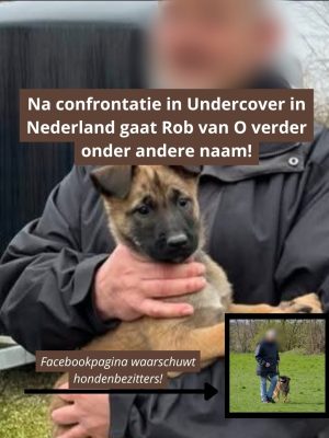 Confrontatie met Alberto Stegeman doet beruchte hondentrainer Rob van O. helemaal niets – “Hij gaat gewoon door!”