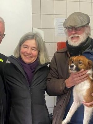 Baarnse hond Sammie pakt in z’n eentje de trein naar Bussum