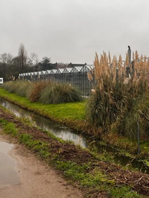 Rijke visserijfamilie blokkeert politieke plannen: toekomst nieuw park onzeker