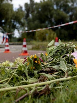 Politie deelt afkomst verdachte (22) van moord op Lisa