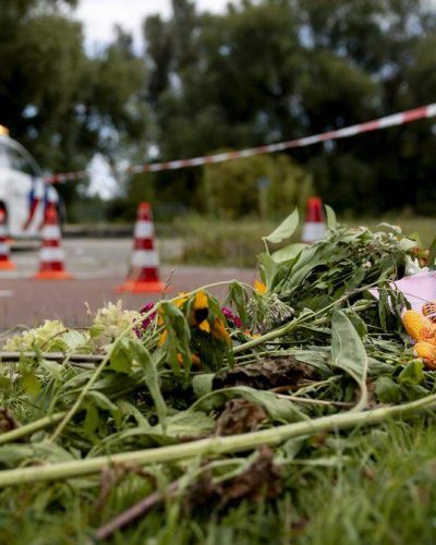 Politie deelt afkomst verdachte (22) van moord op Lisa