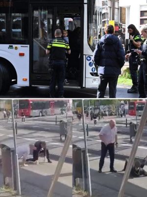 Buschauffeur is er klaar mee: zet lastige asielzoeker hardhandig de bus uit