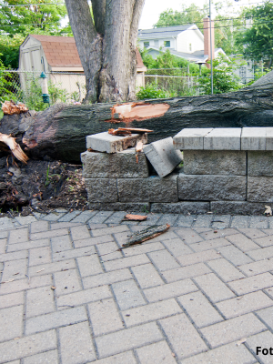 Grote schrik bij basisschool: omvallende boom belandt op kinderwagen