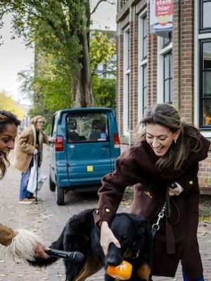Hond van Dilan Yesilgöz steelt de show bij stembus – Moos rent ervandoor met microfoon van journalist!