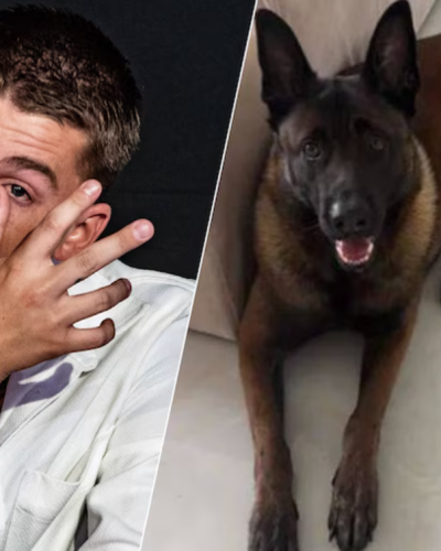 Zoektocht naar hond Mart Hoogkamer verstoord, beloning ingetrokken