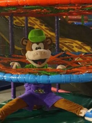 Grote politie-inzet na melding mogelijk wapen in Monkey Town