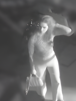 Vrouw zwaar toegetakeld met glas in gezicht tijdens haar eigen verjaardag