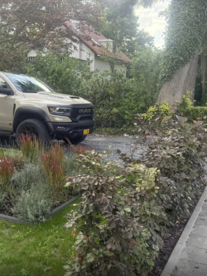Te grote auto? In deze gemeente mag je na 18.00 uur nergens meer parkeren – zelfs niet bij je eigen huis