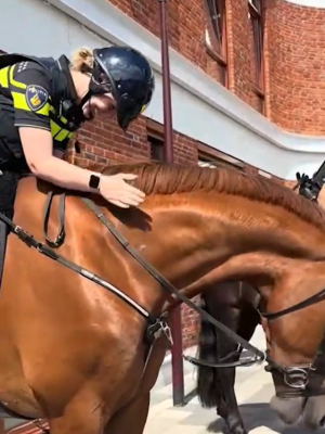 2,8 miljoen mensen lachen mee: vrouw streelt agente in plaats van paard