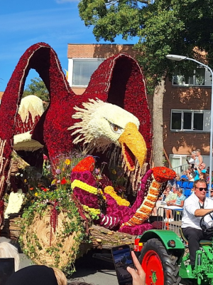 Feestend buurtschap geniet van zevende winst bloemencorso: ‘Zo bijzonder’