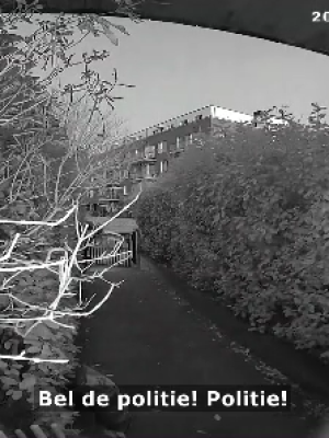 Nederlandse politicus steekt indringer neer met keukenmes in Noordwijk