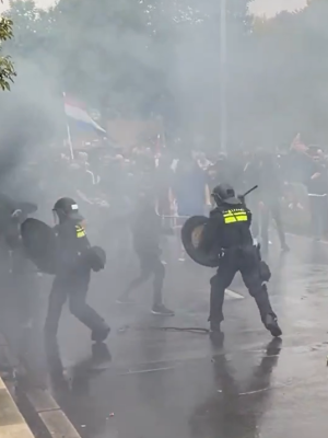 ME grijpt in bij ‘Els rechts’-demonstratie op Malieveld, A12 tijdelijk geblokkeerd