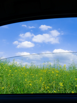 Belgische vrouw (65) komt op bizarre wijze om in Frankrijk: ‘Wat is er in godsnaam gebeurd?’
