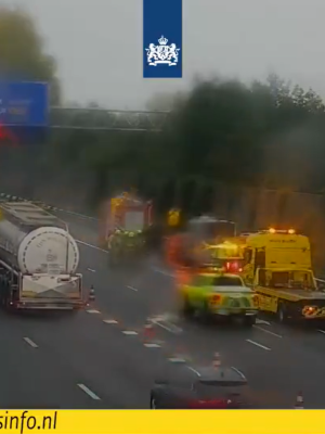Paniek op A50: paard probeert uit trailer te breken — snelweg deels afgesloten, files lopen op