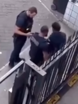 Video uit Frankrijk slaat in als bom: agenten pakken arbeidsmigrant hardhandig aan na betasting van vrouwen