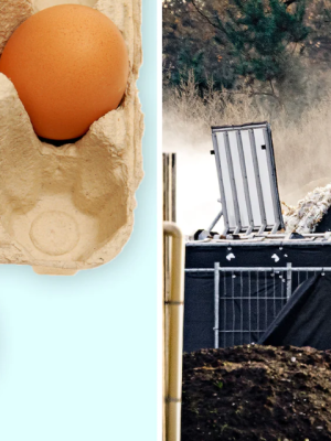 Vogelgriep grijpt snel om zich heen: meer uitbraken verwacht, zorgen nemen toe