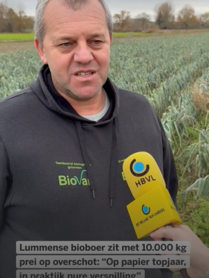 ‘Red mijn oogst!’ Belgische bioboer blijft zitten met gigantische berg prei