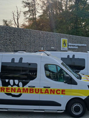 Drama bij fokkerij: verwaarloosde dieren, geweld tegen agent én twee arrestaties