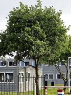 Burgemeester: misbruik minderjarig meisje houdt verband met azc