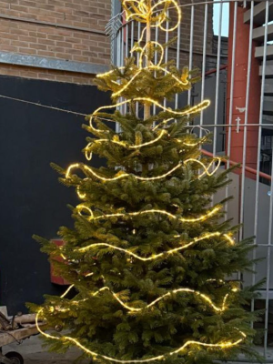 Dieven stelen drie meter hoge kerstboom bij oliebollenkraam: eigenaren zijn er kapot van