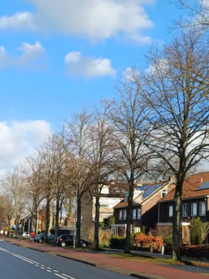 Land in rep en roer, maar hier is geen sneeuw te bekennen