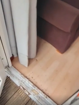 Asielzoekers in tranen om nieuwe woonplek: ‘Zo kunnen wij hier niet leven’