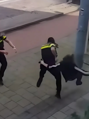 Gewapende man dacht weg te komen… tot deze agent hem vliegend naar de stoep werkt!
