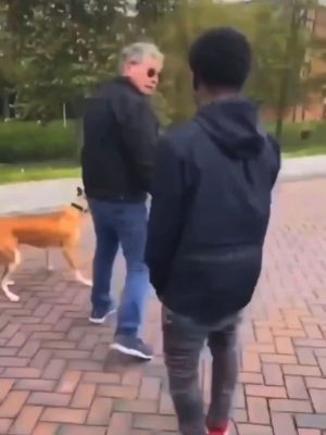 Man mishandeld terwijl hij hond uitlaat