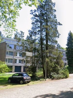 Onrust in gemeente: inwoners starten petitie tegen opvang asielzoekers