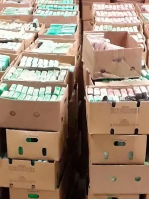 Kwart miljard aan cocaïne gevonden in Brabants schuurtje: West-Brabant groeit uit tot nieuwe cocaïnehoofdstad van Europa