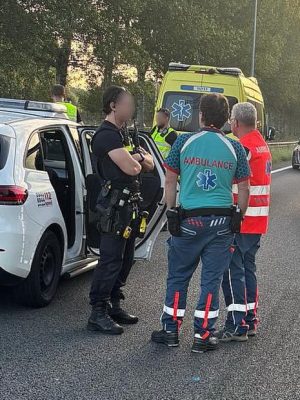 “Levensgevaar op A12: stel zet auto stil na ruzie, politie grijpt in”
