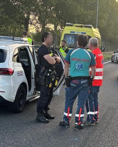“Levensgevaar op A12: stel zet auto stil na ruzie, politie grijpt in”