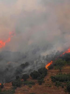 Boswachter bekent aansteken Spaanse bosbrand; ook minimaal 26 anderen aangehouden