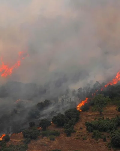 Boswachter bekent aansteken Spaanse bosbrand; ook minimaal 26 anderen aangehouden